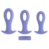 Набор из 3 анальных пробок с вибропулей Hole Punch Plug Set - Evolved в Нижневартовске Набор из 3 анальных пробок с вибропулей Hole Punch Plug Set - Evolved
