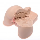 Мастурбатор-полуторс Naked Factory Kate - Naked Factory - в Нижневартовске купить с доставкой