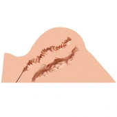 Мастурбатор-полуторс Naked Factory Hannah - Naked Factory - в Нижневартовске купить с доставкой