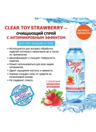 Очищающий спрей для игрушек CLEAR TOY Strawberry - 100 мл. - Биоритм - купить с доставкой в Нижневартовске