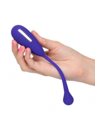 Фиолетовый шарик с электростимуляцией и вибрацией Intimate E-Stimulator Remote Kegel Exerciser - California Exotic Novelties - купить с доставкой в Нижневартовске