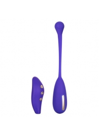 Фиолетовый шарик с электростимуляцией и вибрацией Intimate E-Stimulator Remote Kegel Exerciser - California Exotic Novelties - купить с доставкой в Нижневартовске