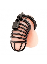 Черная металлическая клетка с замком Deluxe Chastity Cage - BlueLine - купить с доставкой в Нижневартовске