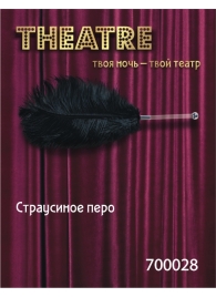 Чёрное страусовое пёрышко - ToyFa - купить с доставкой в Нижневартовске