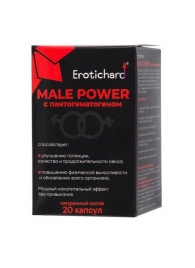 Капсулы для мужчин Erotichard male power с пантогематогеном - 20 капсул (0,370 гр.) - Erotic Hard - купить с доставкой в Нижневартовске