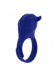 Синее эрекционное виброкольцо с клиторальной подушечкой и пультом ДУ Adjustable Fun Ring - Zero Tolerance - в Нижневартовске купить с доставкой