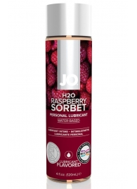 Лубрикант на водной основе с ароматом малины JO Flavored Raspberry Sorbet - 120 мл. - System JO - купить с доставкой в Нижневартовске