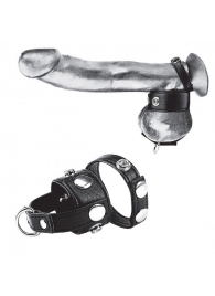 Утяжка для мошонки и пениса Cock Ring With 1  Ball Stretcher And Optional Weight Ring - BlueLine - купить с доставкой в Нижневартовске