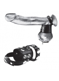 Утяжка на пенис и мошонку Cock Ring With 1.5  Ball Stretcher And Optional Weight Ring - BlueLine - купить с доставкой в Нижневартовске