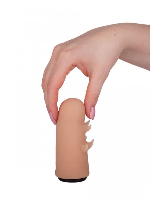 Черный пояс-трусики с двумя насадками  Экзотик-Sara  - 16,5 и 11 см. - LOVETOY (А-Полимер) - купить с доставкой в Нижневартовске