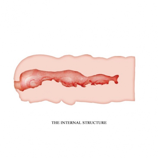 Телесный мастурбатор-вагина Isabel - Baile - в Нижневартовске купить с доставкой