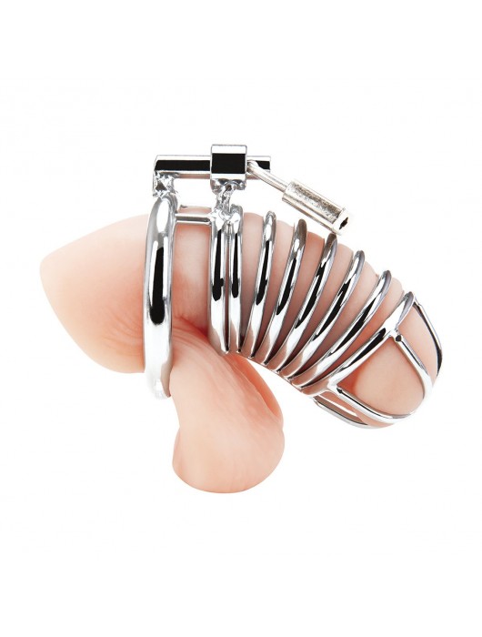 Металлическая клетка Deluxe Сhastity Сage с замком - BlueLine - купить с доставкой в Нижневартовске