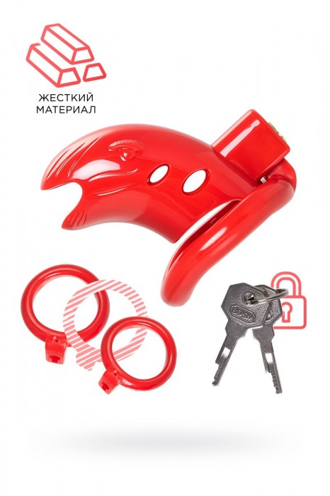 Красный мужской пояс верности из пластика - ToyFa - купить с доставкой в Нижневартовске Красный мужской пояс верности из пластика - ToyFa - купить с доставкой в Нижневартовске