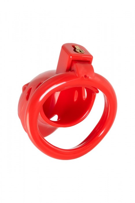 Красный мужской пояс верности из пластика - ToyFa - купить с доставкой в Нижневартовске Красный мужской пояс верности из пластика - ToyFa - купить с доставкой в Нижневартовске