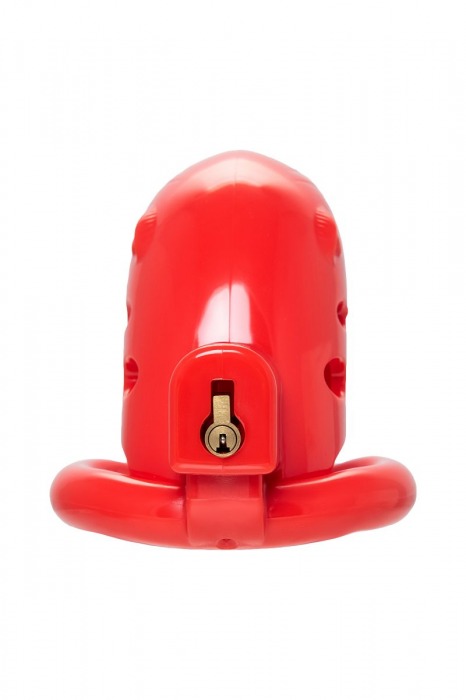 Красный мужской пояс верности из пластика - ToyFa - купить с доставкой в Нижневартовске Красный мужской пояс верности из пластика - ToyFa - купить с доставкой в Нижневартовске