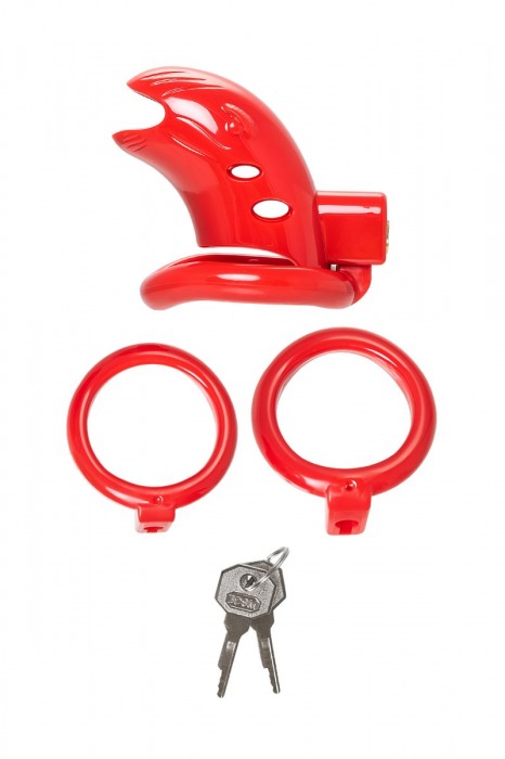 Красный мужской пояс верности из пластика - ToyFa - купить с доставкой в Нижневартовске Красный мужской пояс верности из пластика - ToyFa - купить с доставкой в Нижневартовске