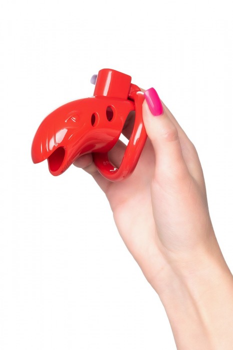 Красный мужской пояс верности из пластика - ToyFa - купить с доставкой в Нижневартовске Красный мужской пояс верности из пластика - ToyFa - купить с доставкой в Нижневартовске