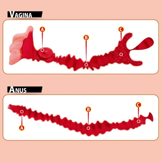 Мастурбатор-полуторс Adel с двумя любовными отверстиями - KOKOS - в Нижневартовске купить с доставкой