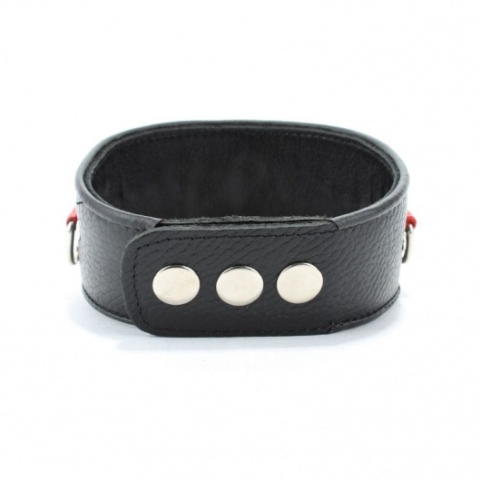 Кожаный ошейник с металлическими клепками - БДСМ Арсенал - купить с доставкой в Нижневартовске