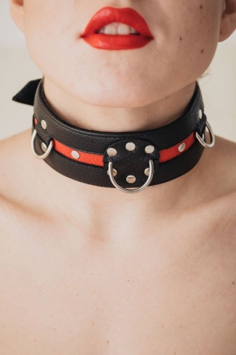 Черно-красный ошейник на пряжке - БДСМ Арсенал - купить с доставкой в Нижневартовске
