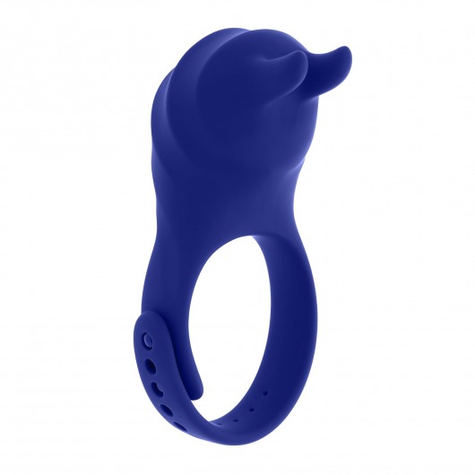 Синее эрекционное виброкольцо с клиторальной подушечкой и пультом ДУ Adjustable Fun Ring - Zero Tolerance - в Нижневартовске купить с доставкой