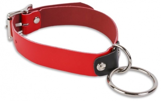 Красный ошейник с колечком - Пикантные штучки - купить с доставкой в Нижневартовске