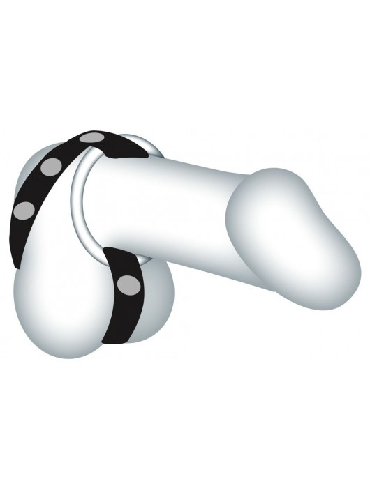 Подхват для мошонки с 3 съемными эрекционными кольцами Leder-Riemen - Orion - в Нижневартовске купить с доставкой