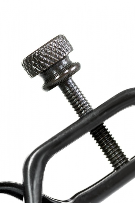 Черно-золотистые зажимы для сосков TOYFA Theatre - ToyFa - купить с доставкой в Нижневартовске